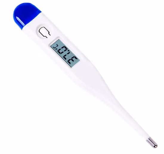 0.01c Display High Quality Clinical Waterproof Oral Woman Ovulation Test Pregnant Baby Basal Digital Thermometer