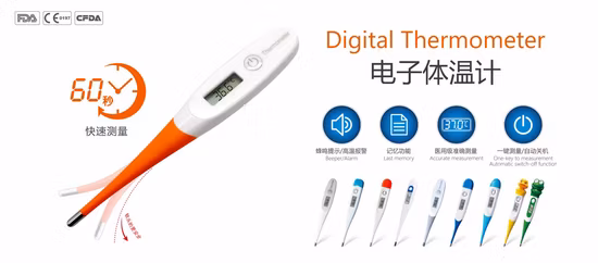 Flexible Digital Thermometer
