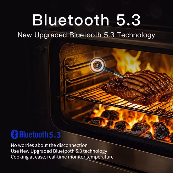 Best Price Waterproof Dual Probe Meat Thermometer Digital Thermometer Cooking